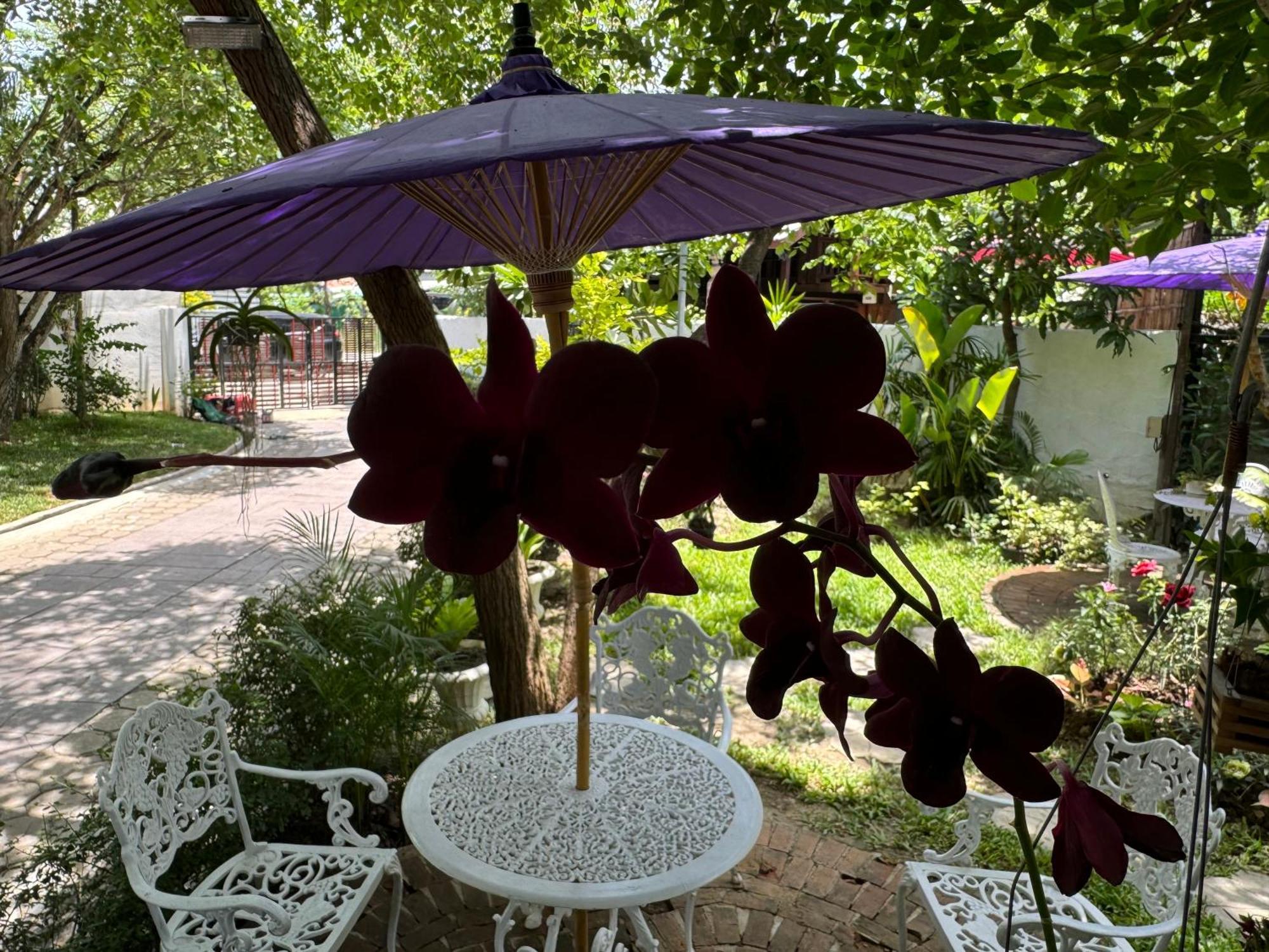 Chiang Mai Las Orquideas Resort Eksteriør billede
